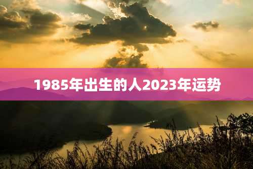 1985年出生的人2023年运势
