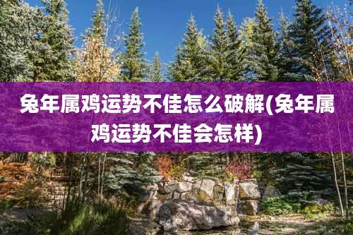 兔年属鸡运势不佳怎么破解(兔年属鸡运势不佳会怎样)