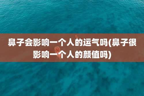 鼻子会影响一个人的运气吗(鼻子很影响一个人的颜值吗)