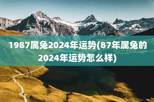 1987属兔2024年运势(87年属兔的2024年运势怎么样)