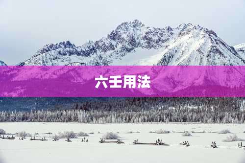 六壬用法