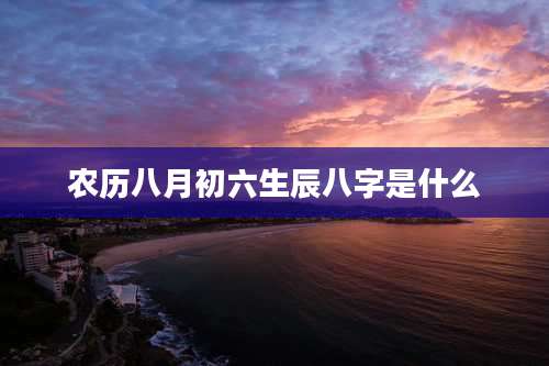 农历八月初六生辰八字是什么