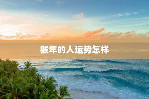 猴年的人运势怎样