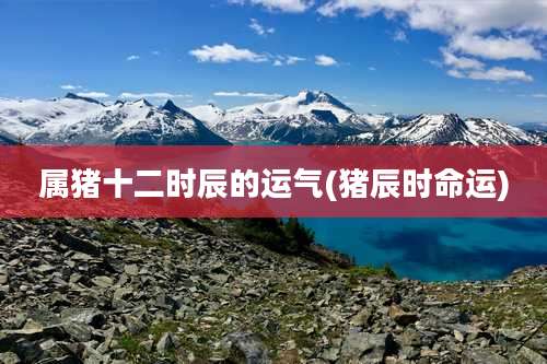 属猪十二时辰的运气(猪辰时命运)