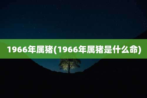 1966年属猪(1966年属猪是什么命)