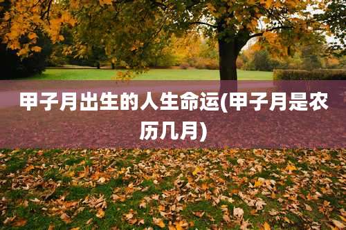 甲子月出生的人生命运(甲子月是农历几月)