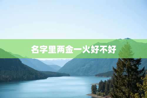 名字里两金一火好不好