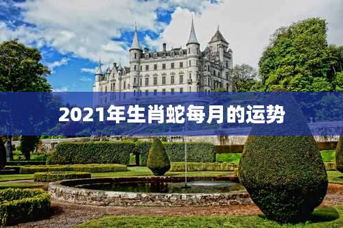 2021年生肖蛇每月的运势