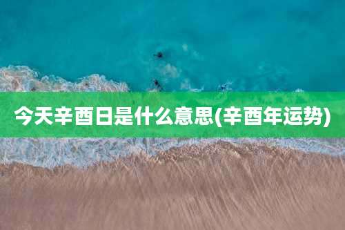 今天辛酉日是什么意思(辛酉年运势)