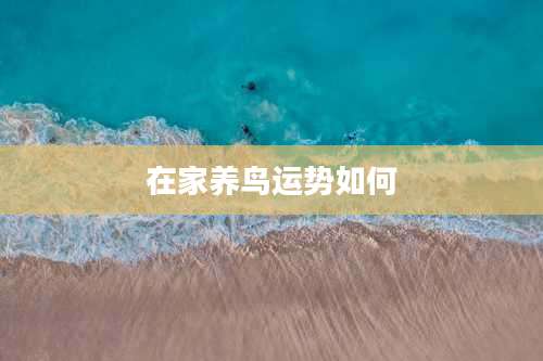 在家养鸟运势如何