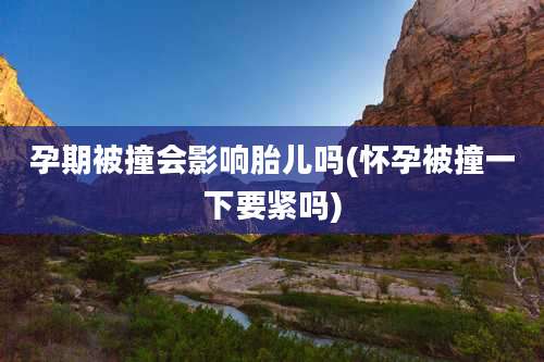 孕期被撞会影响胎儿吗(怀孕被撞一下要紧吗)