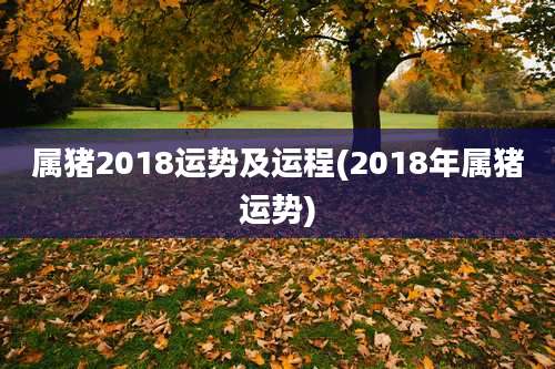 属猪2018运势及运程(2018年属猪运势)