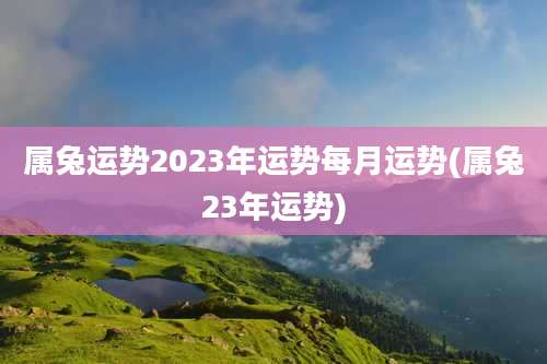 属兔运势2023年运势每月运势(属兔23年运势)