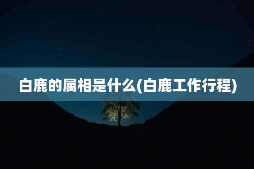 白鹿的属相是什么(白鹿工作行程)