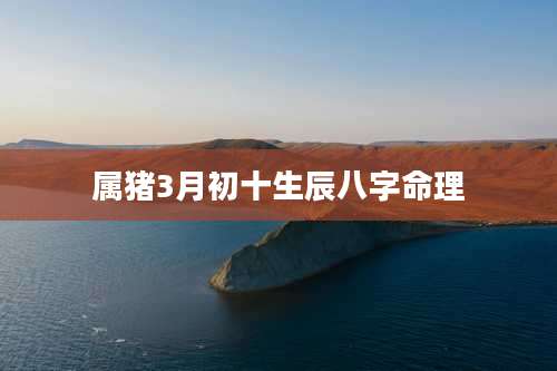 属猪3月初十生辰八字命理