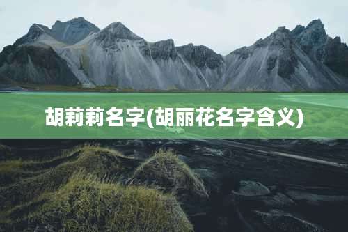 胡莉莉名字(胡丽花名字含义)