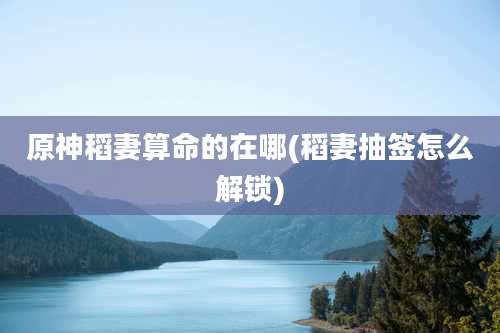 原神稻妻算命的在哪(稻妻抽签怎么解锁)