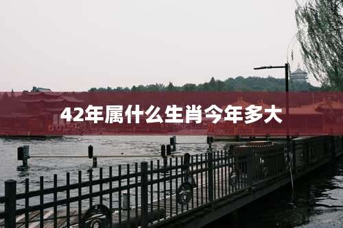 42年属什么生肖今年多大