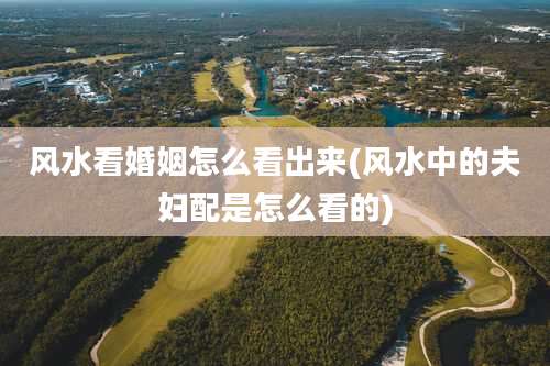 风水看婚姻怎么看出来(风水中的夫妇配是怎么看的)