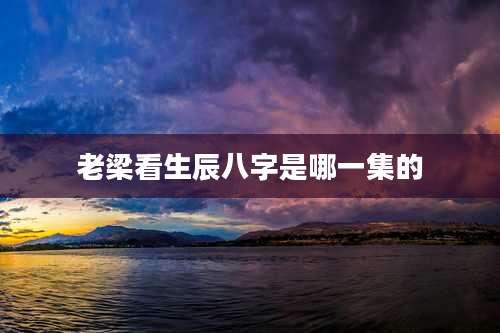 老梁看生辰八字是哪一集的