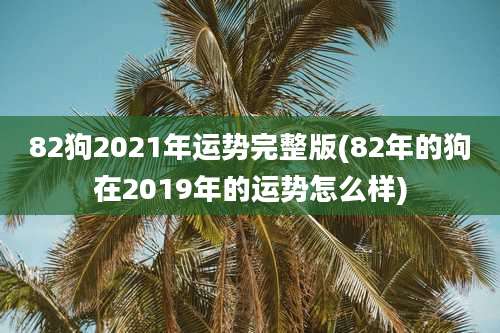 82狗2021年运势完整版(82年的狗在2019年的运势怎么样)