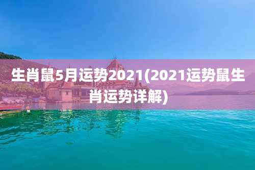 生肖鼠5月运势2021(2021运势鼠生肖运势详解)