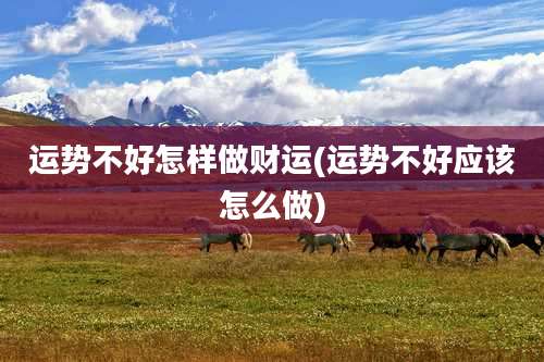 运势不好怎样做财运(运势不好应该怎么做)