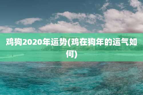鸡狗2020年运势(鸡在狗年的运气如何)