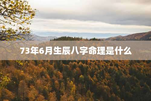 73年6月生辰八字命理是什么
