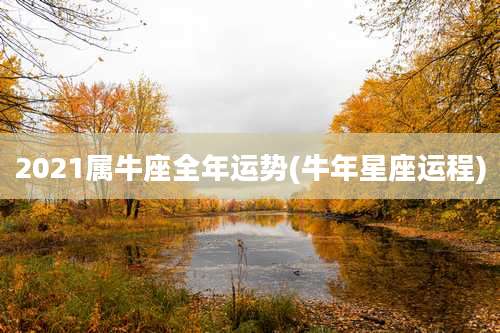 2021属牛座全年运势(牛年星座运程)