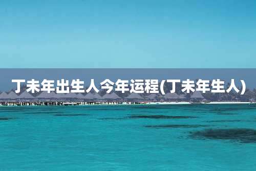 丁未年出生人今年运程(丁未年生人)
