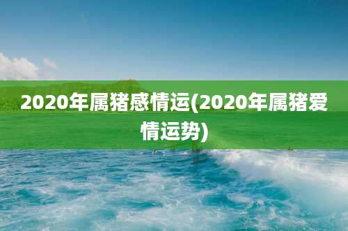 2020年属猪感情运(2020年属猪爱情运势)