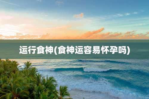 运行食神(食神运容易怀孕吗)