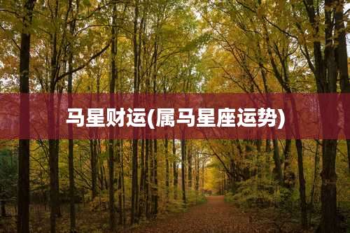 马星财运(属马星座运势)