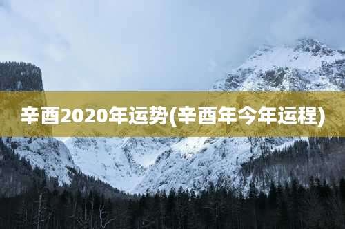 辛酉2020年运势(辛酉年今年运程)