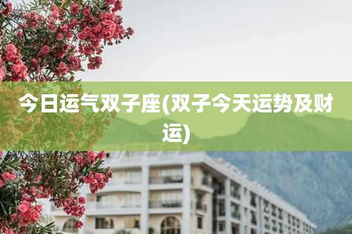 今日运气双子座(双子今天运势及财运)