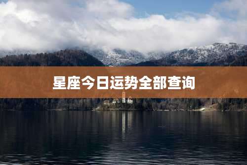 星座今日运势全部查询