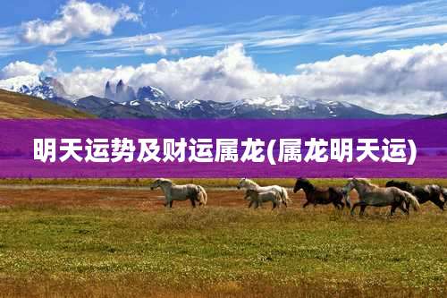 明天运势及财运属龙(属龙明天运)