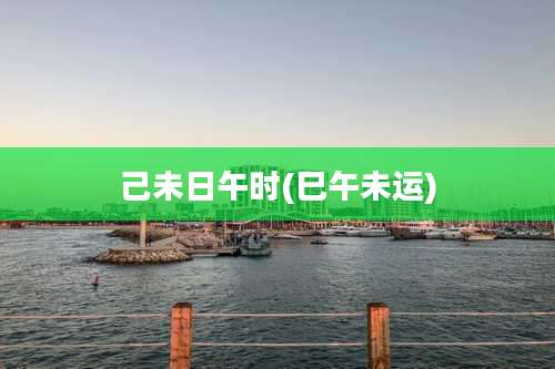 己未日午时(巳午未运)