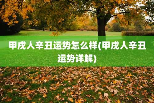 甲戌人辛丑运势怎么样(甲戌人辛丑运势详解)