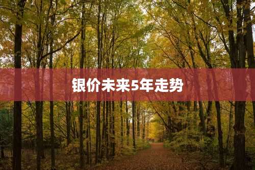 银价未来5年走势