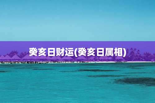 癸亥日财运(癸亥日属相)