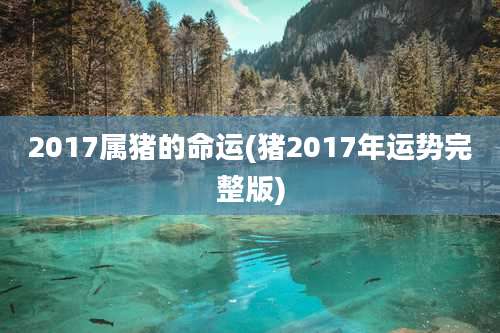 2017属猪的命运(猪2017年运势完整版)