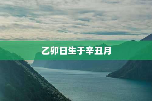 乙卯日生于辛丑月
