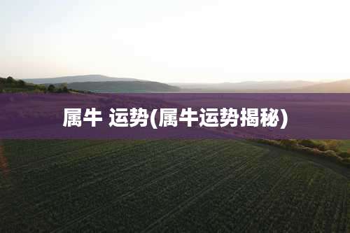 属牛 运势(属牛运势揭秘)