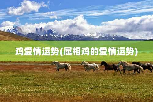 鸡爱情运势(属相鸡的爱情运势)