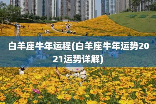 白羊座牛年运程(白羊座牛年运势2021运势详解)