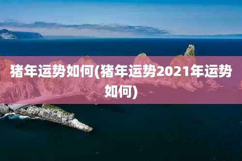 猪年运势如何(猪年运势2021年运势如何)
