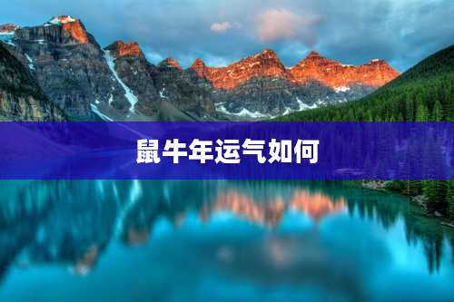 鼠牛年运气如何