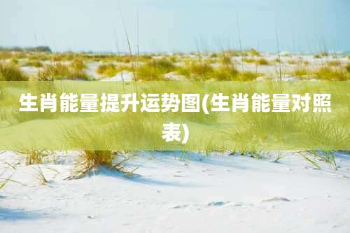 生肖能量提升运势图(生肖能量对照表)